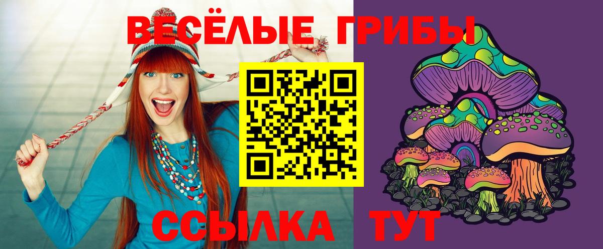 Конаково  Галлюциногенные грибы прущие грибы  Вход с VPN 