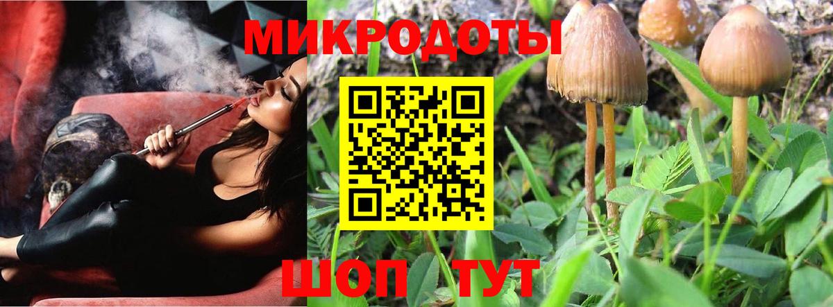 Псилоцибиновые грибы MAGIC MUSHROOMS Конаково